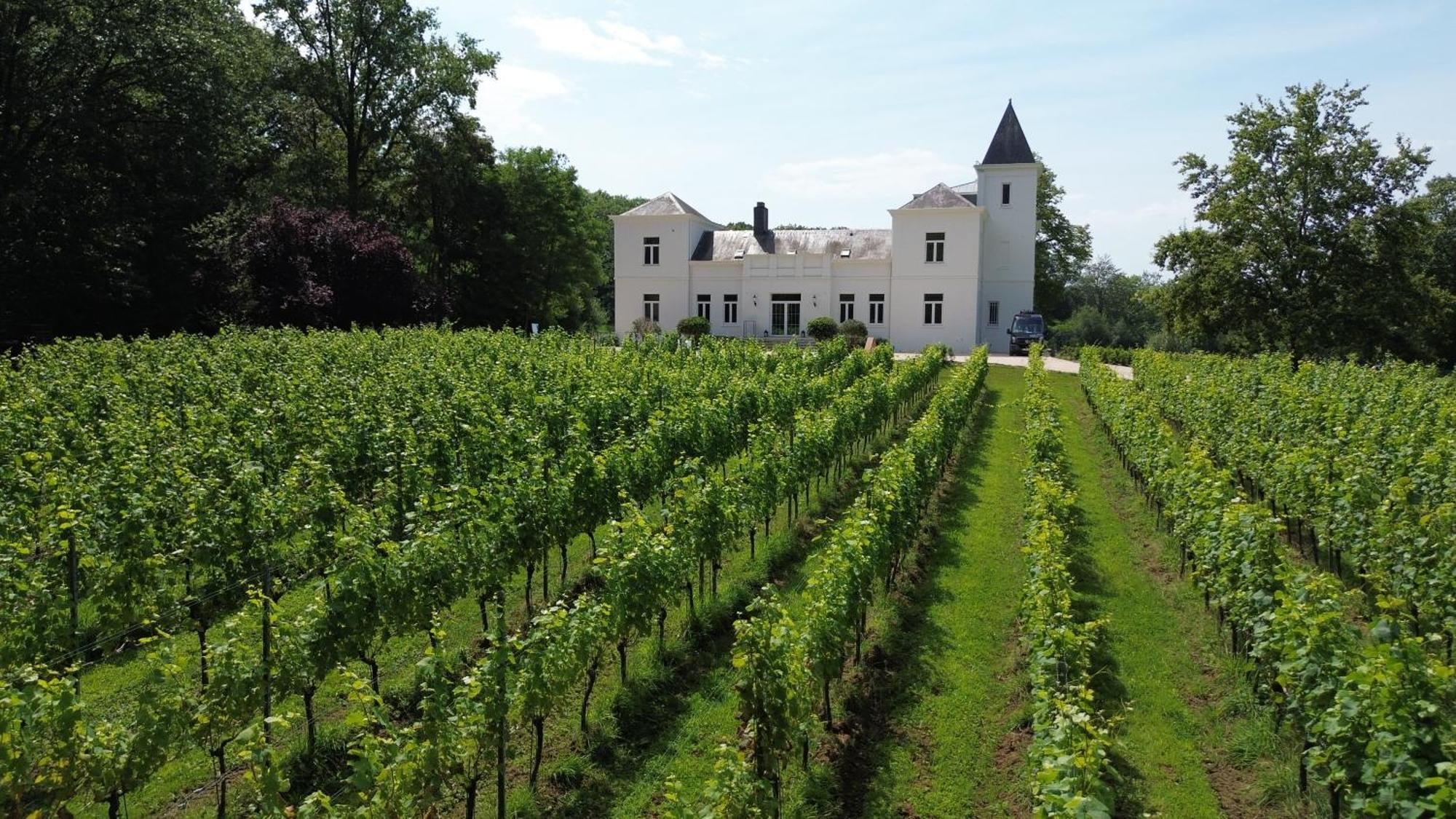 Villa Wijnkasteel Haksberg Tielt Exterior foto